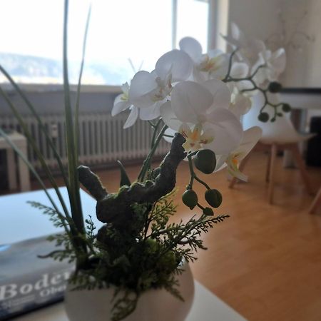 Seestudio Mit Toller Aussicht Am Bodensee บอดมัน-ลุดวิกส์ฮาเฟิน ภายนอก รูปภาพ