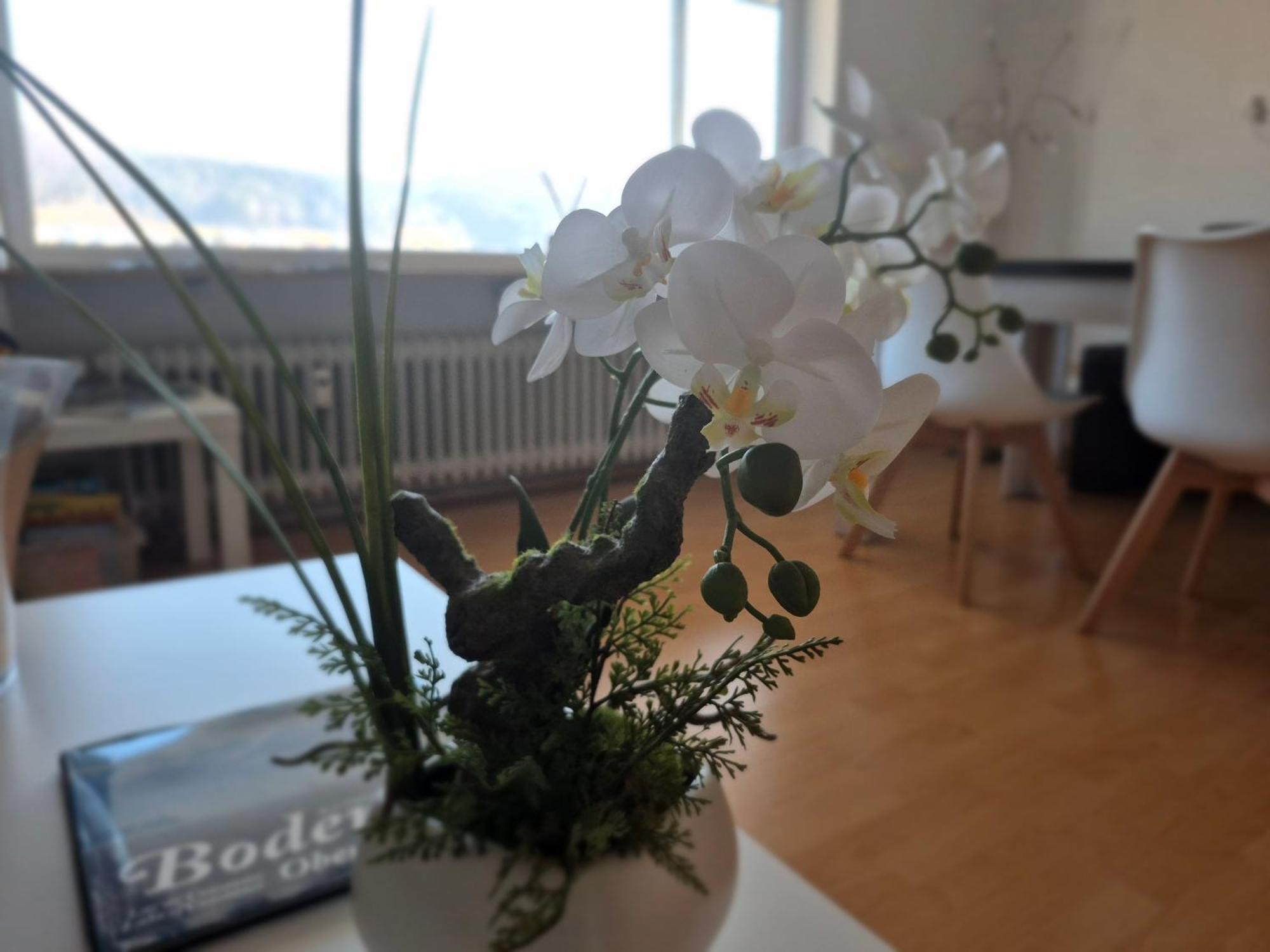 Seestudio Mit Toller Aussicht Am Bodensee บอดมัน-ลุดวิกส์ฮาเฟิน ภายนอก รูปภาพ